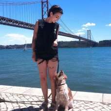 DogWay - ao ritmo do teu cão - Treino de Cães - Aulas - Cascais e Estoril