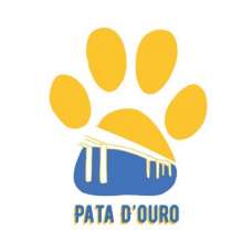 Pata D’ouro - Treino de Cães - Aulas - Aldoar, Foz do Douro e Nevogilde