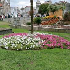 Relva Santos - Jardinagem e Relvados - Lisboa
