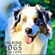 Walking dogs with love - Pet Sitting e Pet Walking - Vila Velha de Rodão