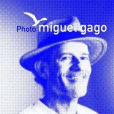 Miguel Gago - Fotografia de Animais de Estimação - Pontinha e Famões