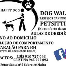 Walk Happy Dog - Treino de Cães - Aulas - Mafra