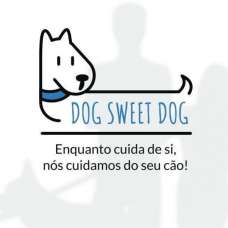 Dog Sweet Dog - Dog Sitting - Lousa