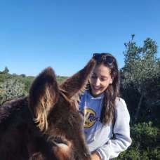 Mariana Carvalho - Creche para Cães - Ramada e Caneças