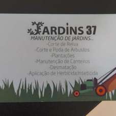 Jardins37 - Remoção de Ervas Daninhas - Castanheira do Ribatejo e Cachoeiras