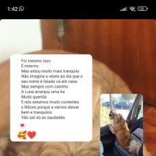 Daniela Fortuna - Cat Sitting - Seixal, Arrentela e Aldeia de Paio Pires