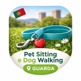 Pedro Nóbrega - Pet Sitting e Pet Walking - Guarda
