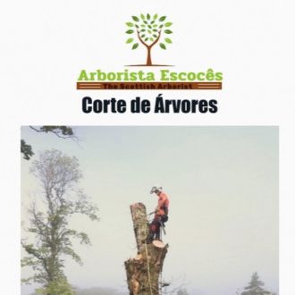 Scottish Arborist - Jardinagem e Relvados - Arganil