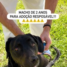 Rafaela.petsitter - Hotel e Creche para Animais - Sintra