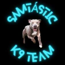 Samtástic Adestra K9 Team - Treino de Cães - Setúbal