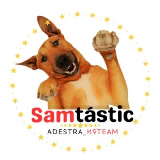 Samtástic Adestra K9 (Samuel) - Treino de Cães - Setúbal