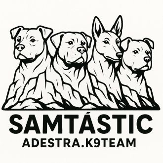 Samtástic Adestra K9 (Samuel) - Pet Sitting e Pet Walking - Almada
