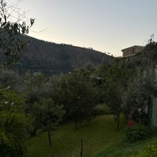 Cantinho Verde - Jardinagem e Relvados - Amares