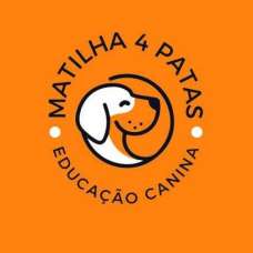 João Francisco - Treino de Cães - Aulas - Benfica