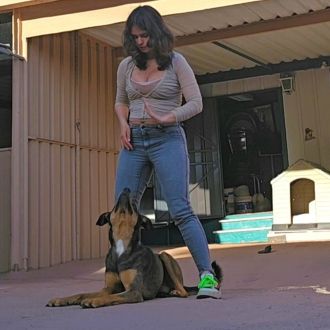 Andreia Galante - PetSitter/DogWalker - Treino de Cães - Setúbal
