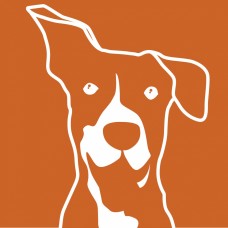 Jo&atilde;o Fernandes - Adestramento e Treino Canino, Terapia Comportamental - Pet Sitting e Pet Walking - Cascais