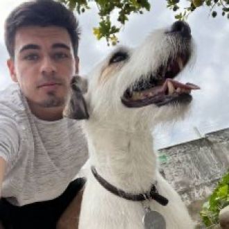DogBrothers - Hotel para Cães - Algueirão-Mem Martins