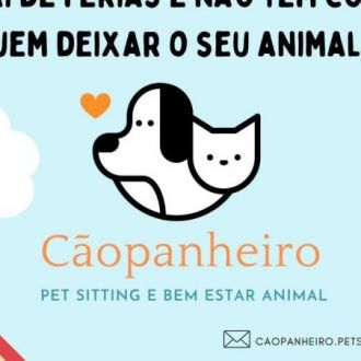 Caopanheiro.petsitting - Dog Walking - Alvito (São Pedro e São Martinho) e Couto