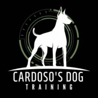 Cardoso’s Dog Training - Treino de Cães - Vila Franca de Xira