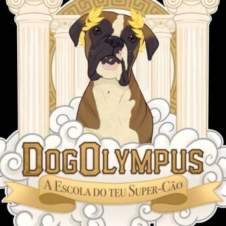 Dog Olympus - Treino de Cães - Cinf??es