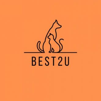 🐾 Looking for a Trusted Pet Sitter and Walker in Porto? Look No Further! 🐾 - Pet Sitting e Pet Walking - Valongo