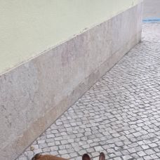 Beatriz Ribeiro - Dog Walking - Santa Maria Maior