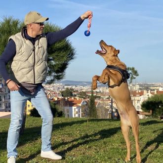 TrainedDogs - Treino de Animais - Alenquer