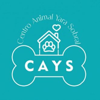 CAYS - Centro Animal Yara Sobral - Creche para Cães - Algueirão-Mem Martins