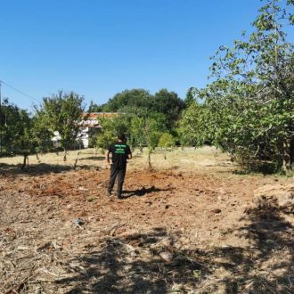 Miguel - Jardinagem e Relvados - felgueiras