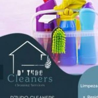 D’Tudo Cleaners - Limpeza de Apartamento - Gondomar (São Cosme), Valbom e Jovim
