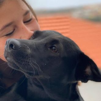 Mariana Costa - Pet Sitting e Pet Walking - Sintra