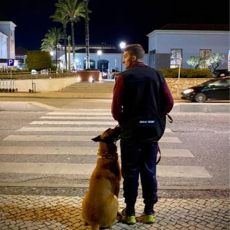 Vasco Carvalho - Treino de Animais - Tavira