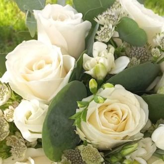Cristina Salvador - Floristas - Gondomar