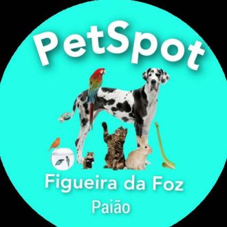 PetSpot Figueira da Foz - Treino de Cães - figueiradafoz