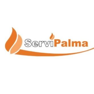 SERVIPALMA - Gás - Web Design e Web Development