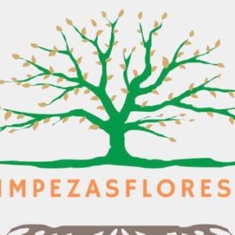 Cm Limpezas Florestais - Estufas - Milheirós de Poiares