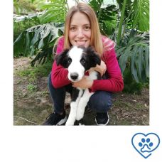 Ana Amaral - Veterin&aacute;rios - Lisboa