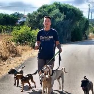 El Tex - Pet Sitting e Pet Walking - Monchique