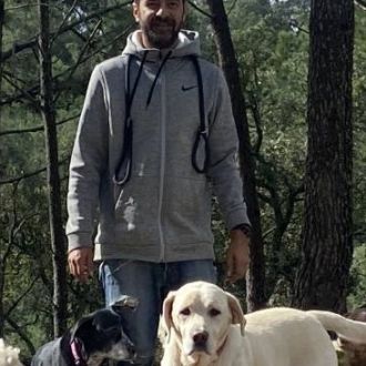 Lorran.adestrador - Treino de Animais - Alenquer