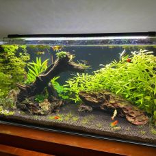 Aquacasafixe - Hotel e Creche para Animais - Odivelas