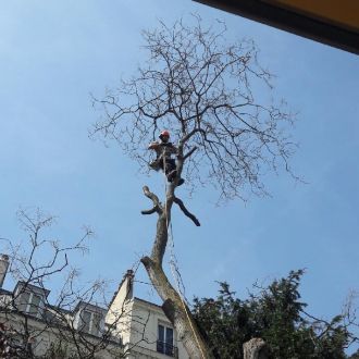 Guillaume Voluntario - Jardinagem e Relvados - Aulas de Costura, Crochet e Tricô