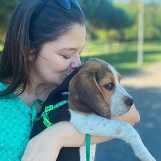 Daniela Petsitter - Pet Sitting e Pet Walking - Sever do Vouga