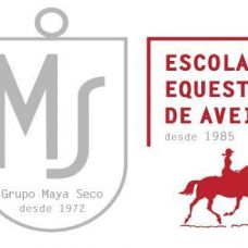Escola Equestre d`AVEIRO Lda - Aulas de Desporto - Aveiro