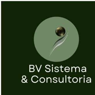 BV Sistema & Consultoria - Consultoria de Estatística - lousa