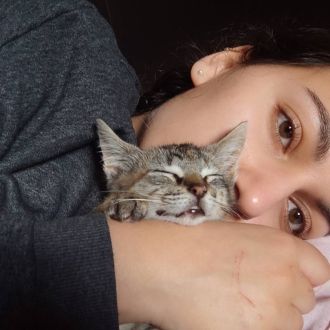 Enfermeira Veterinária Mariana - Cuidados para Animais de Estimação - Paredes