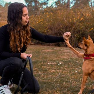 Daniela Costa - Cuidados para Animais de Estimação - boticas