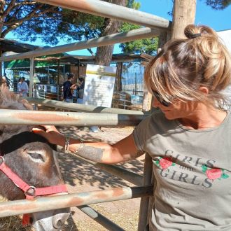 Ana Reis - Limpeza de Estofos e Mobília - Venda do Pinheiro e Santo Estêvão das Galés