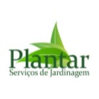 Plantar Serviços de Jardinagem - Trituración y eliminación de tocones - Foz do Sousa e Covelo