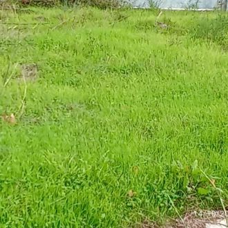 Jardinagem e remodelações de interiores - Lavagem à Pressão - Sacavém e Prior Velho