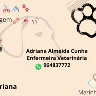 Adriana Cunha - Cuidados para Animais de Estimação - Tábua